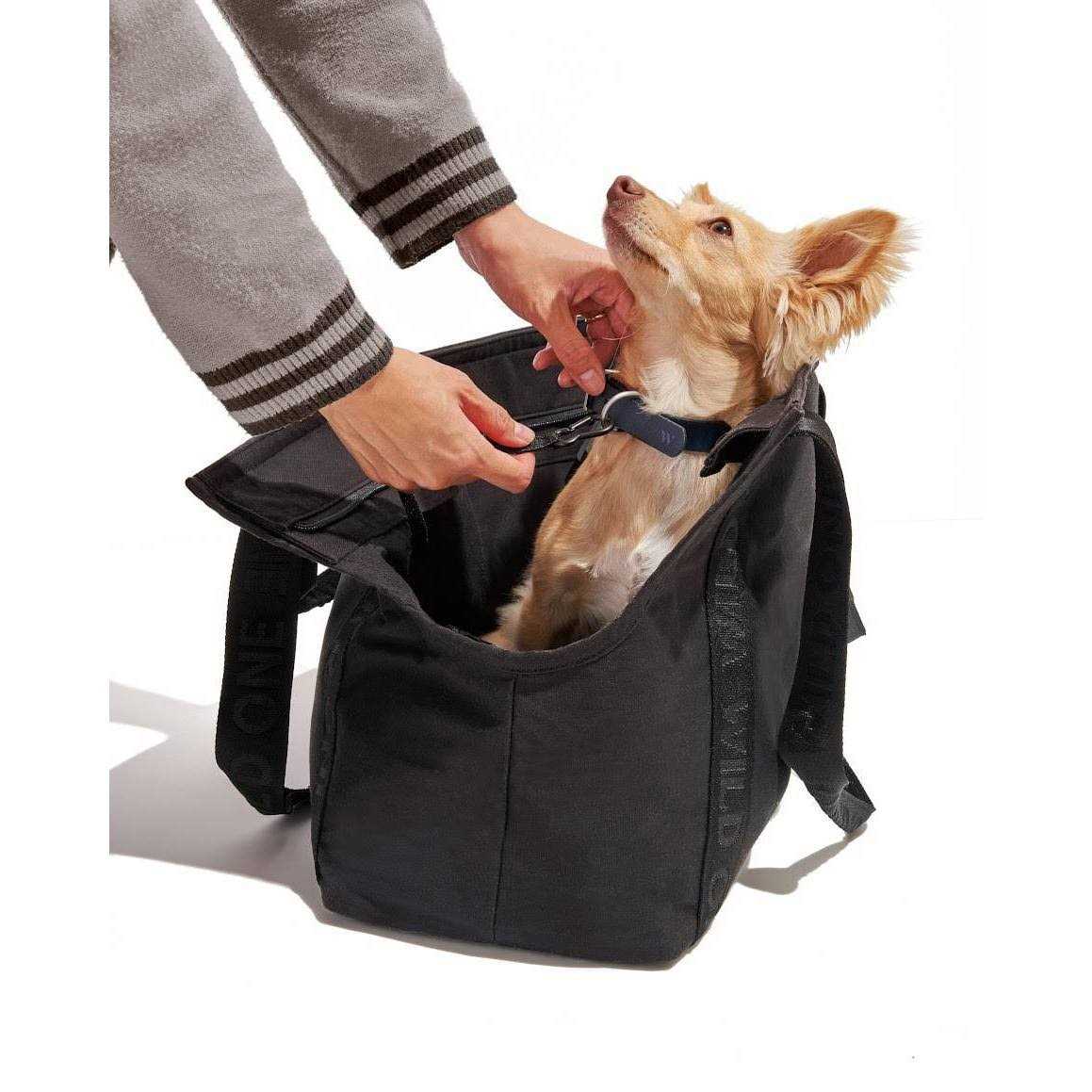 Wild One Cotton Everyday Dog Carrier