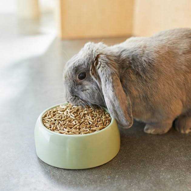Mazuri Timothy Based Rabbit Food
