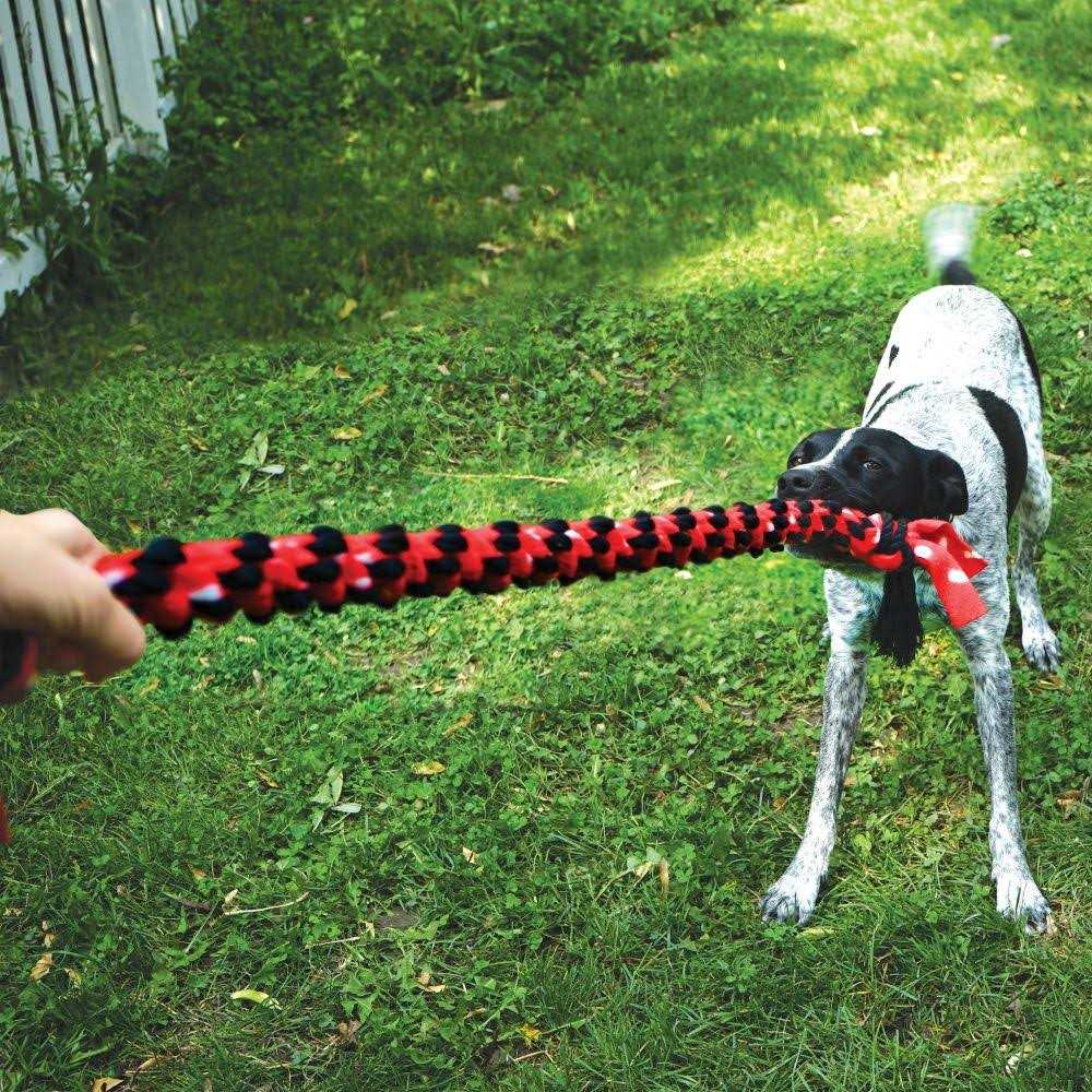 KONG Signature Double Tug Rope Dog Toy