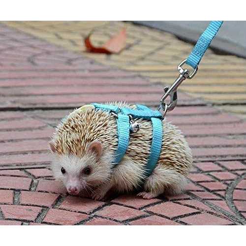 hokmly Adjustable Small Pet Hedgehog Harness for Training Playing Traction Rope