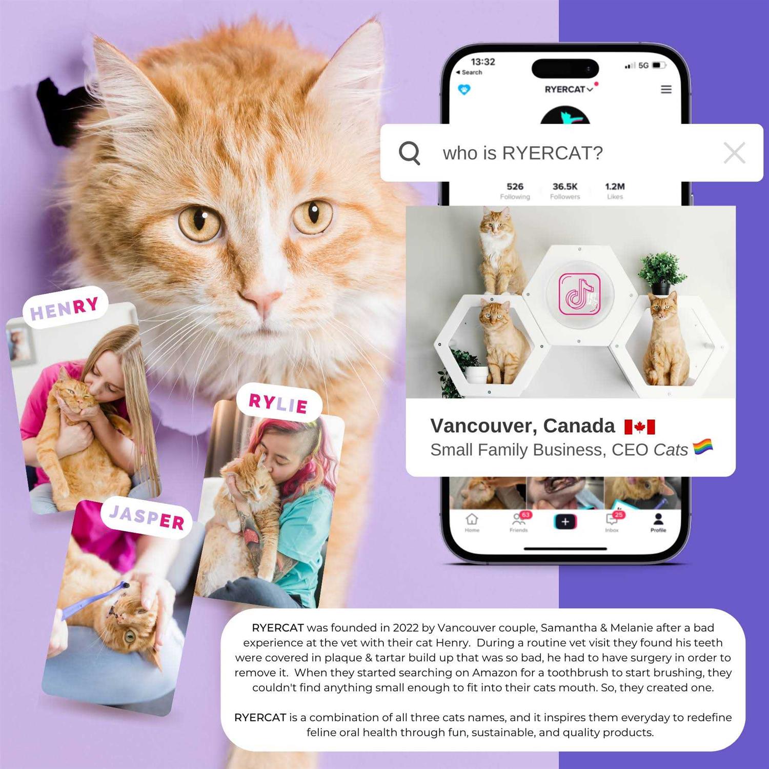 RYERCAT Dual Sided Cat Toothbrush