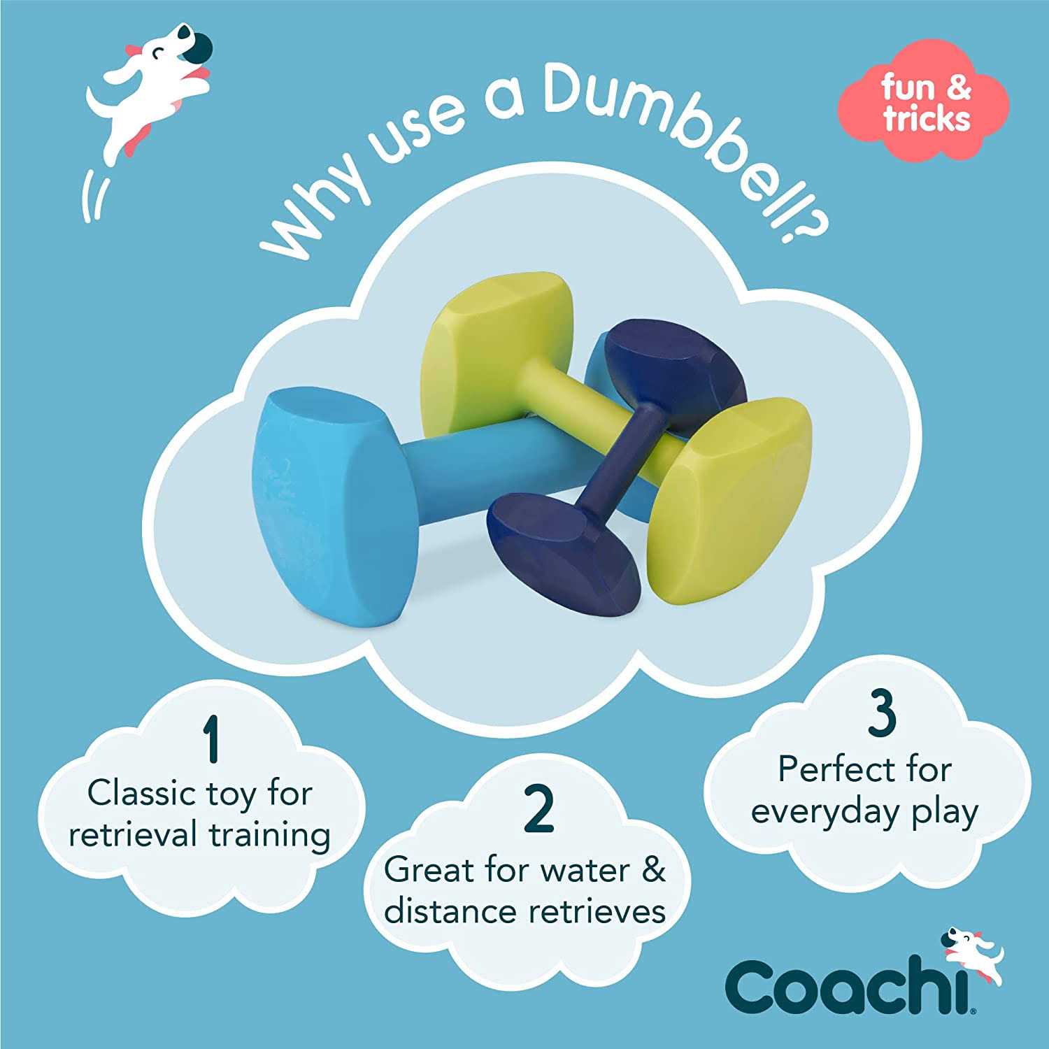 Coachi Dumbbell Training