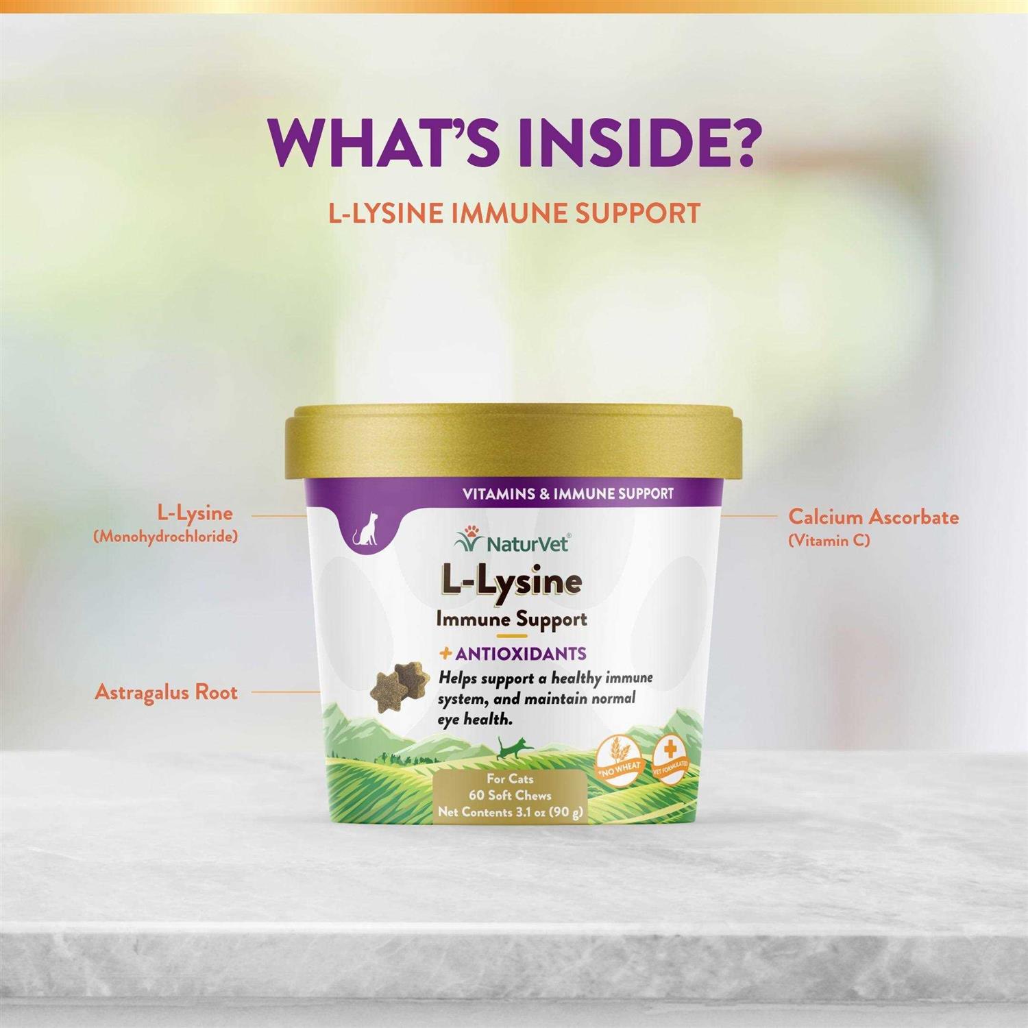 NaturVet L-Lysine Immune Support Plus Antioxidants