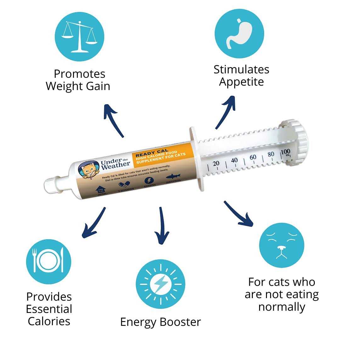 Under the Weather Pet Ready Cal for Cats 100cc High Calorie Supplement
