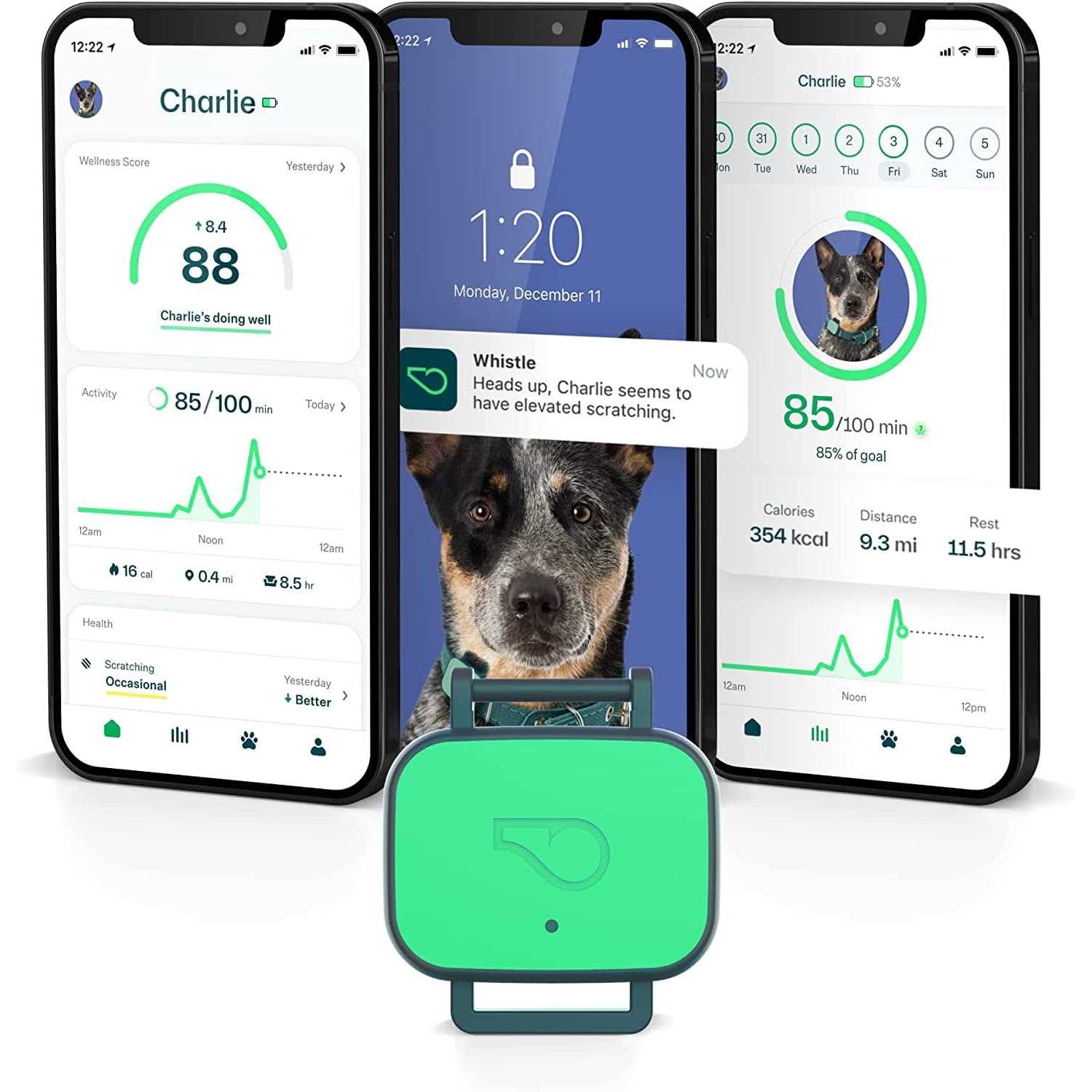 Whistle Dog Health & Fitness Tracker Smart Device