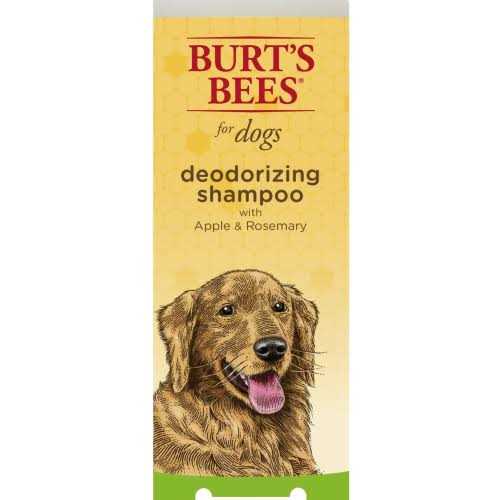 Burt’s Bees Shampoo