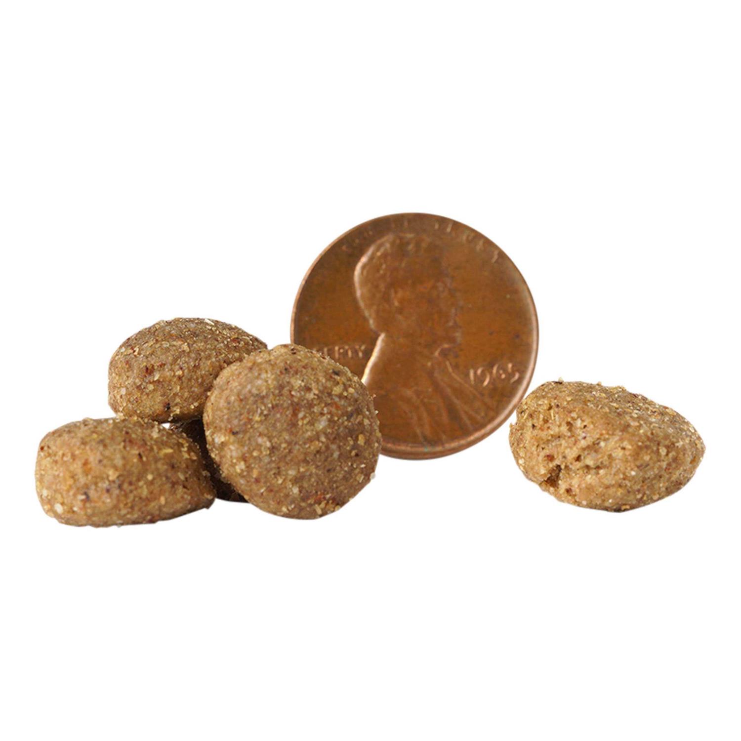 Victor Chicken Meal & Brown Rice Dry Dog Food