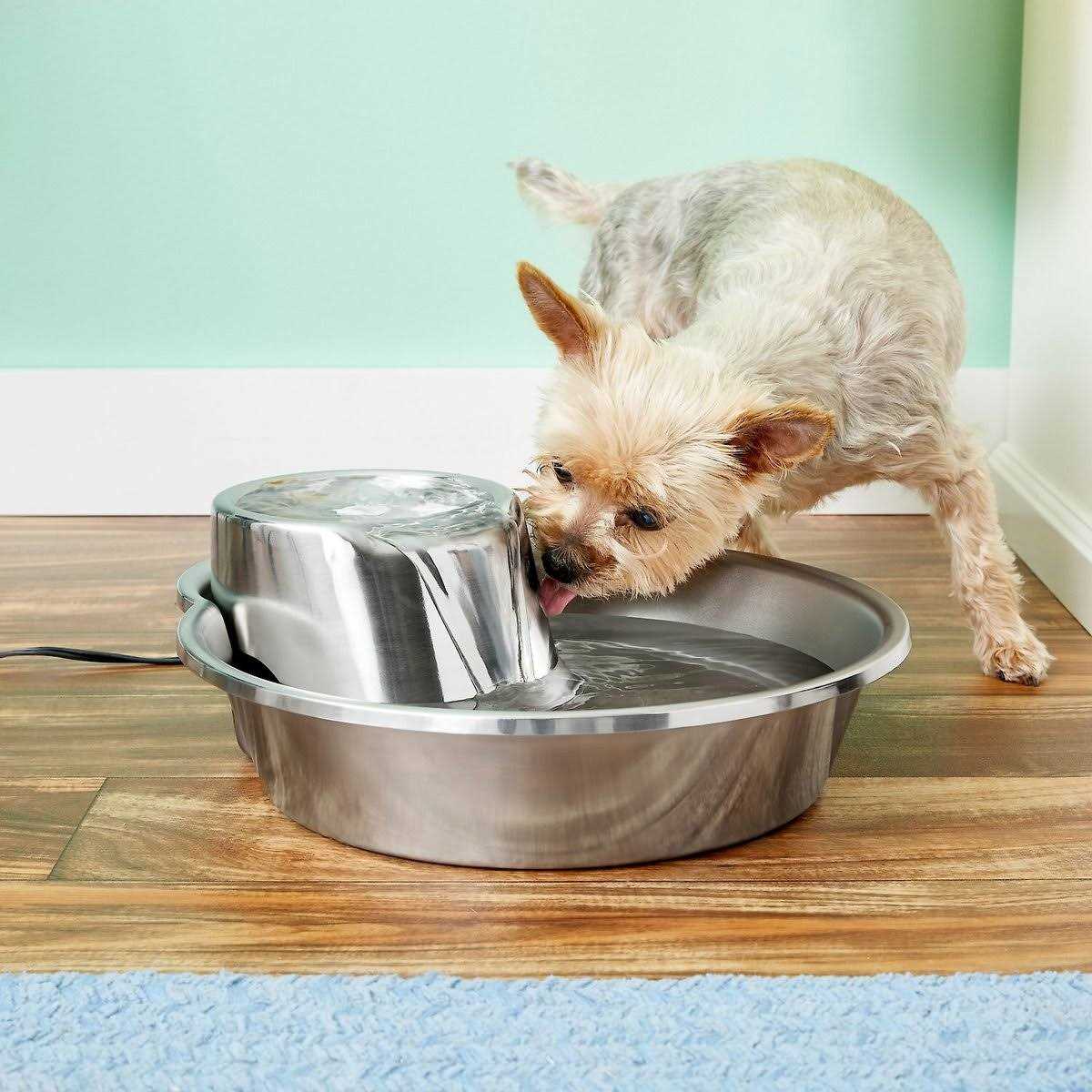 Pioneer Pet Big Max Stainless Steel Fountain