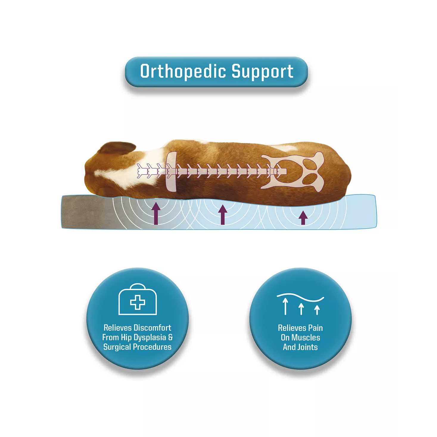 Canine Creations Arlee Pillow Topper Rectangle Pet Dog Bed