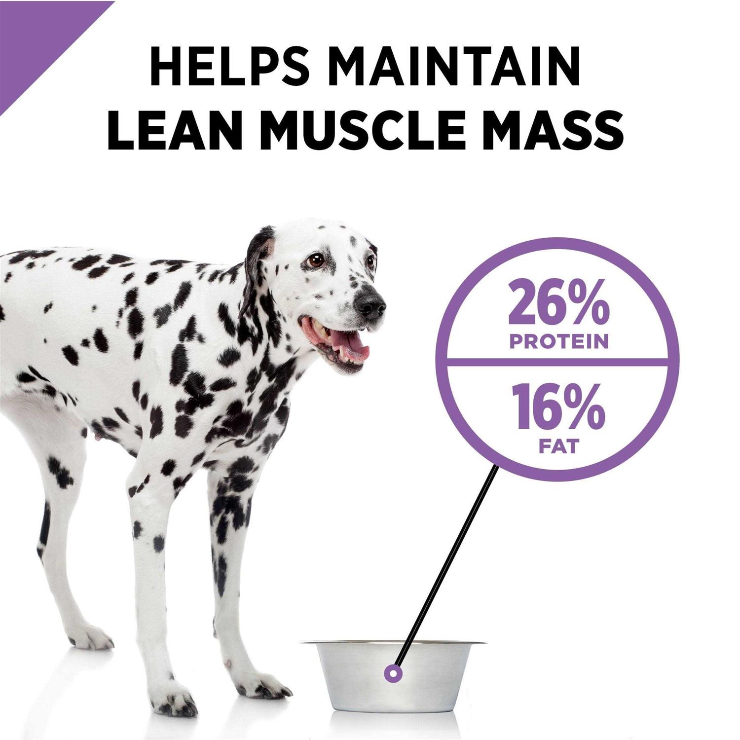 Purina Pro Plan Dry Dog Food Sport Active 26/16 Formula