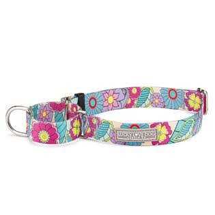 Lucky Love Dog Martingale Collar Premium No Slip Collar Great for Whippets, Greyhounds, and More