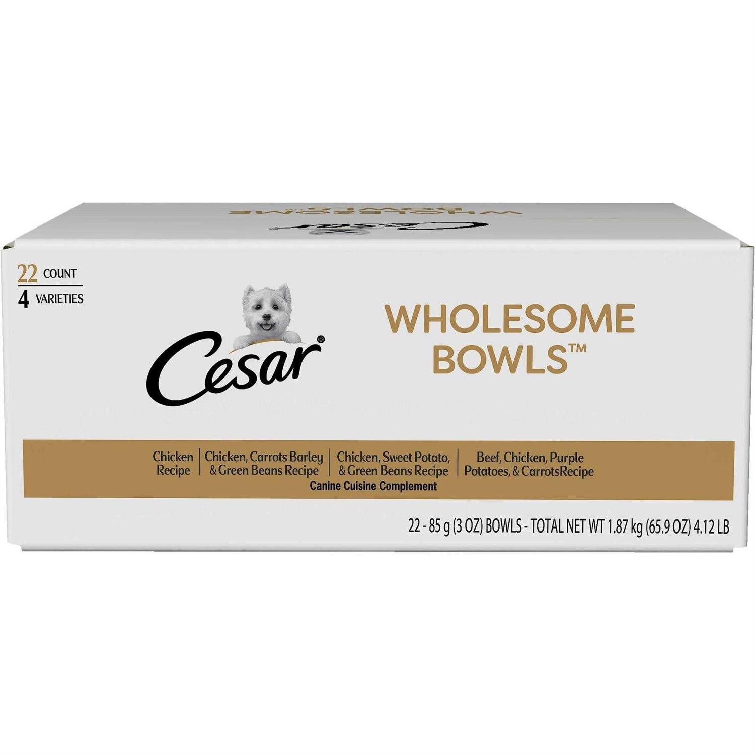 Cesar Wholesome Bowls Wet Dog Food