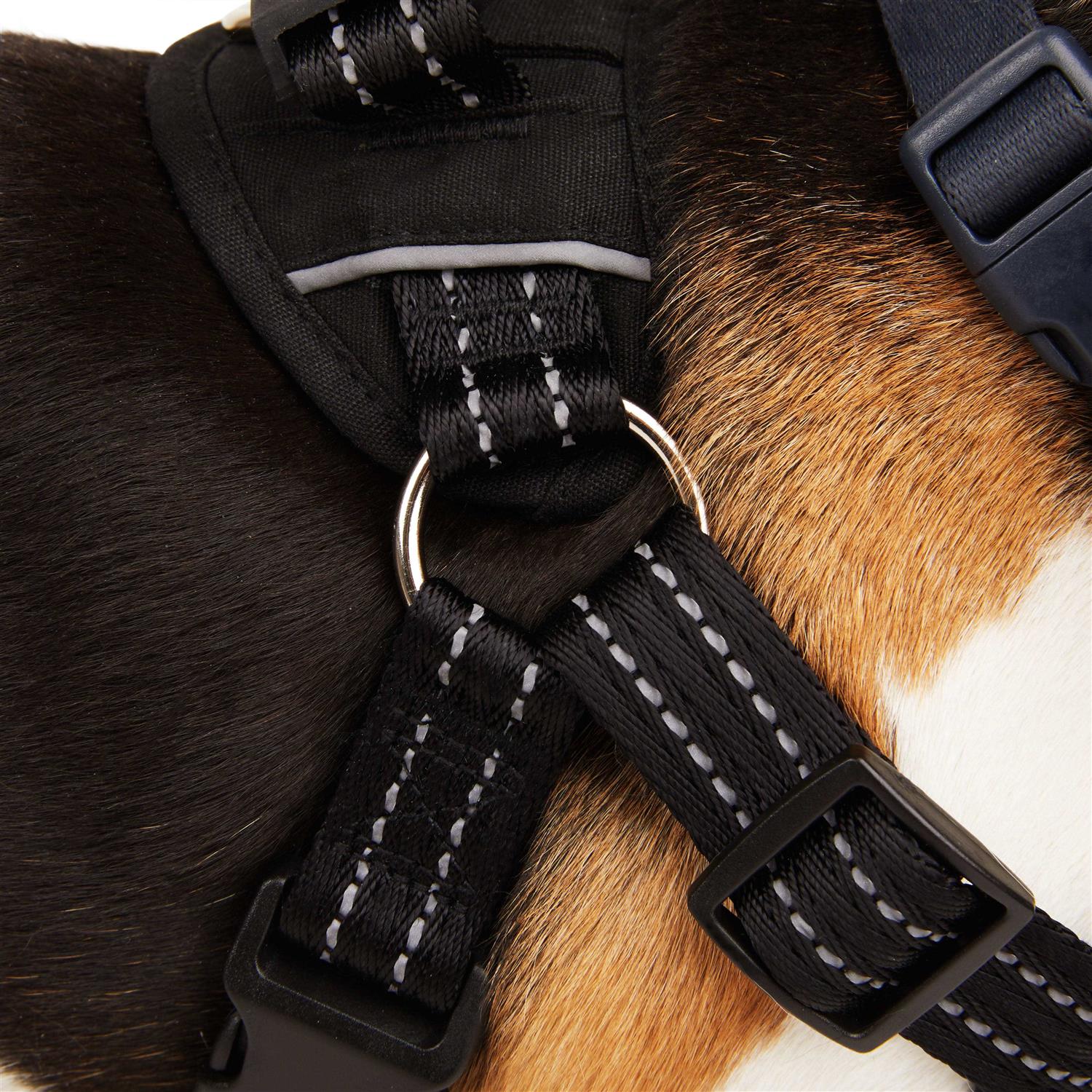 EveryYay Easy On Training Dog Harness