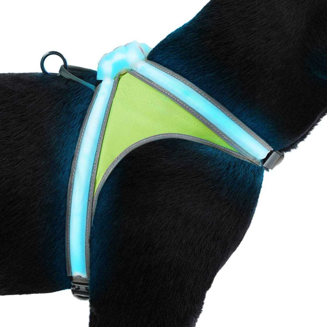 Noxgear LightHound LED Illuminated & Reflective Dog Harness