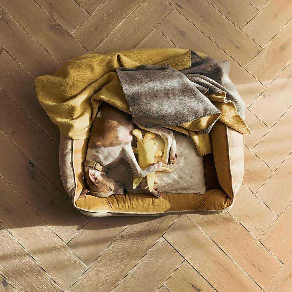Dog Bed Square Bread