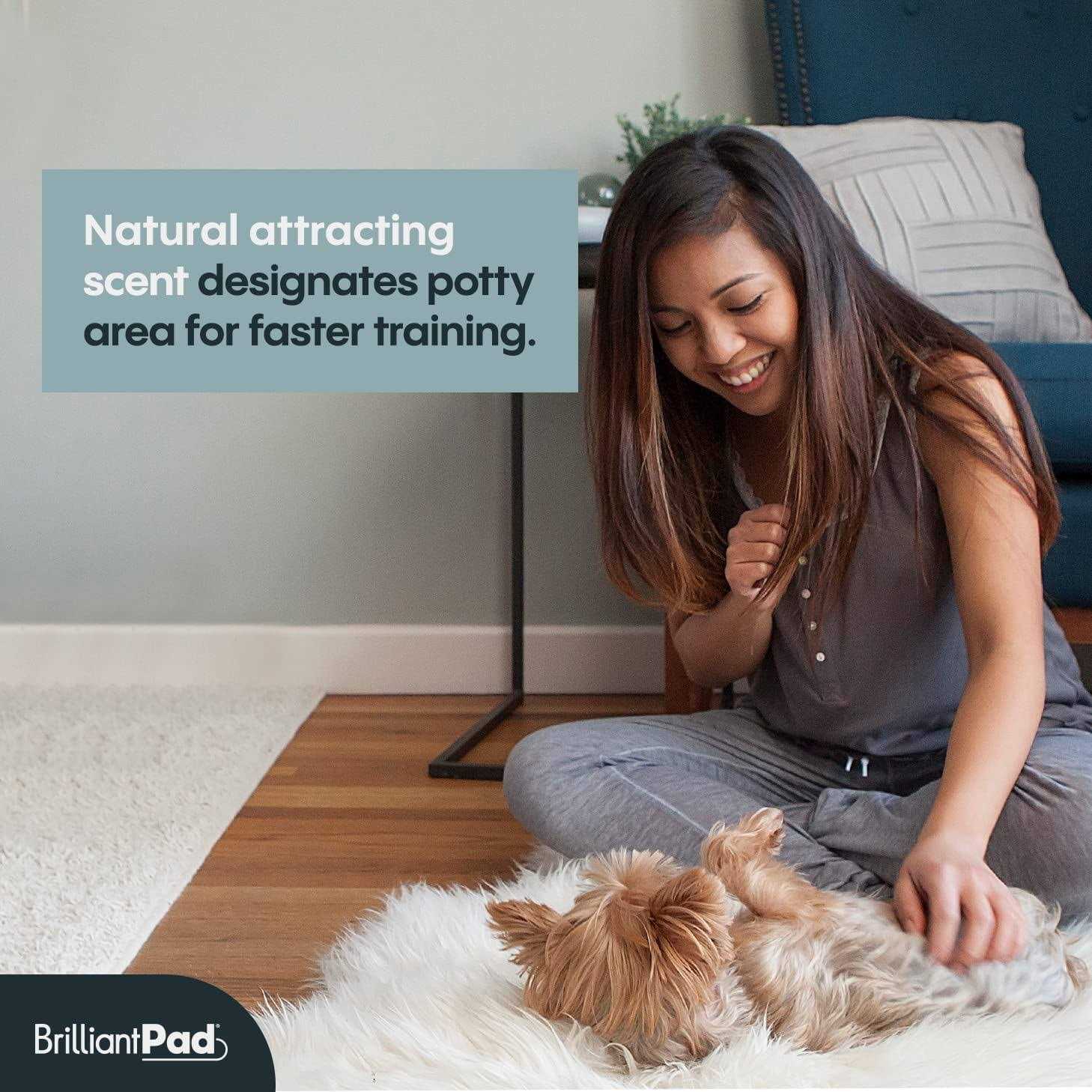 Brilliantpad ‘Go Here!’ Dog Potty Attractant Spray