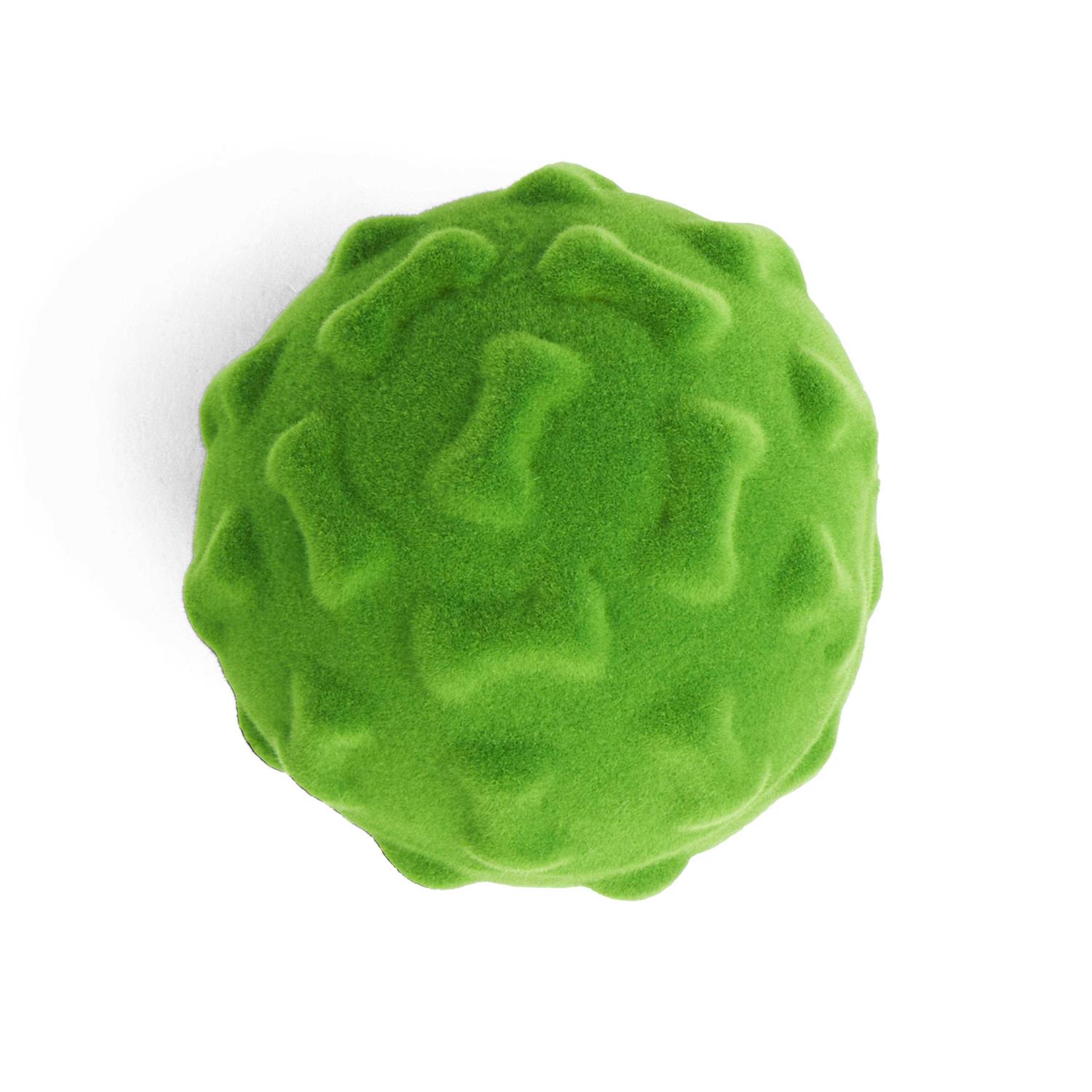 Leaps & Bounds Flocked Foam Dog Toy