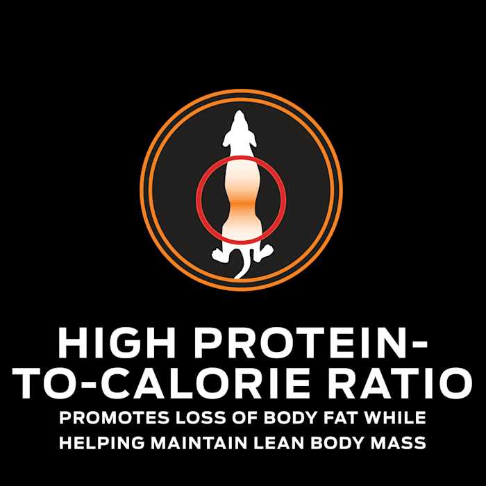 Purina Pro Plan Veterinary Diets OM Overweight Management Formula Dry Dog Food