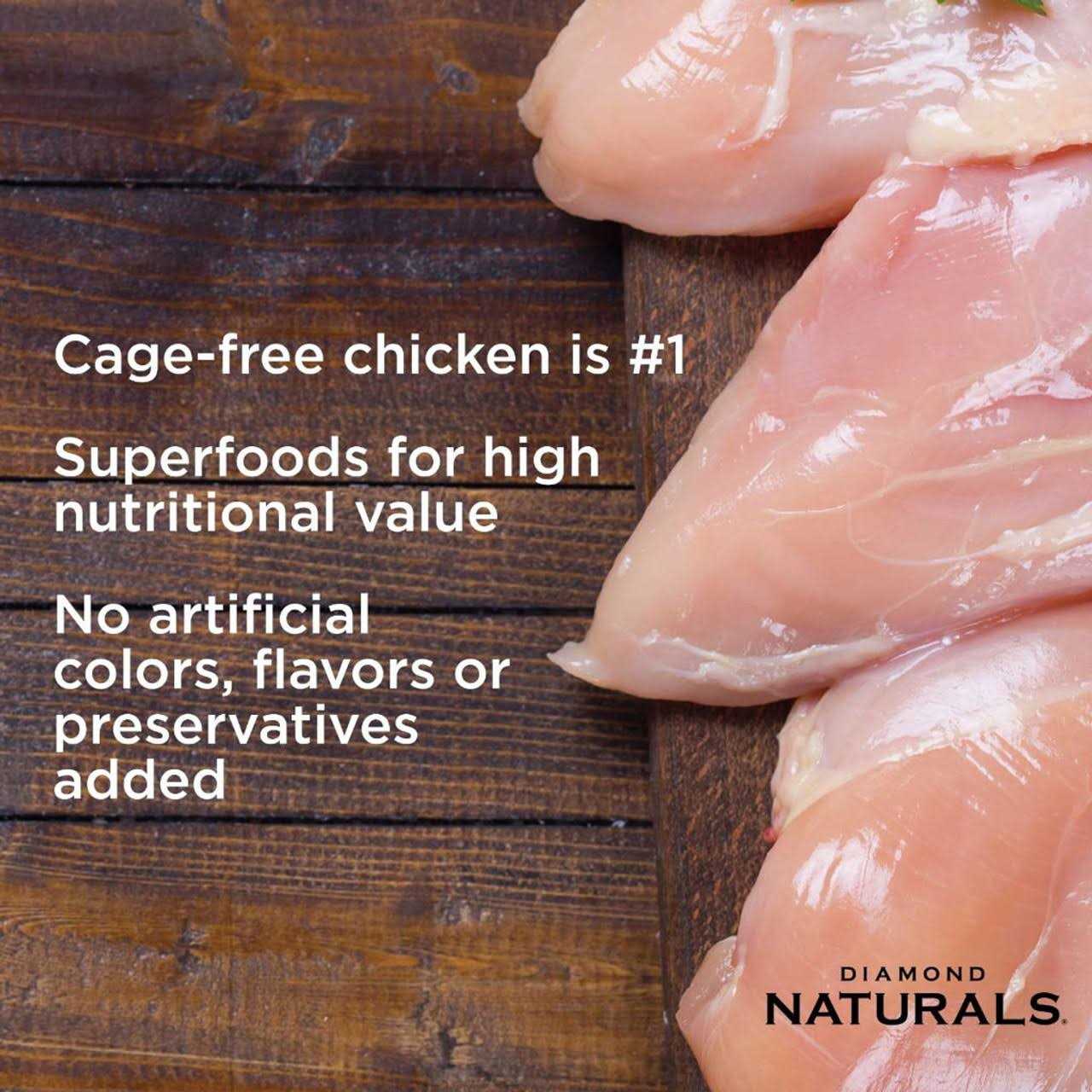 Diamond Naturals Senior Dry Dog Food