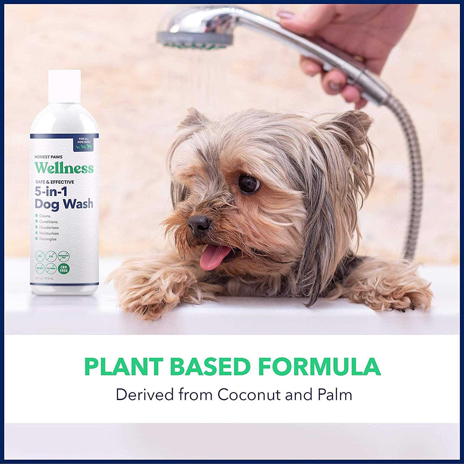 Honest Paws Dog Shampoo and Conditioner 5-in-1 for Allergies and Dry