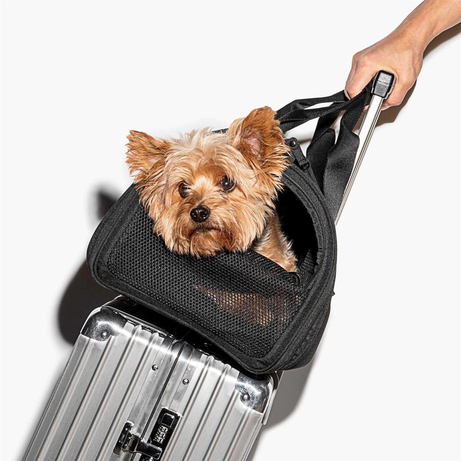 Wild One Travel Carrier
