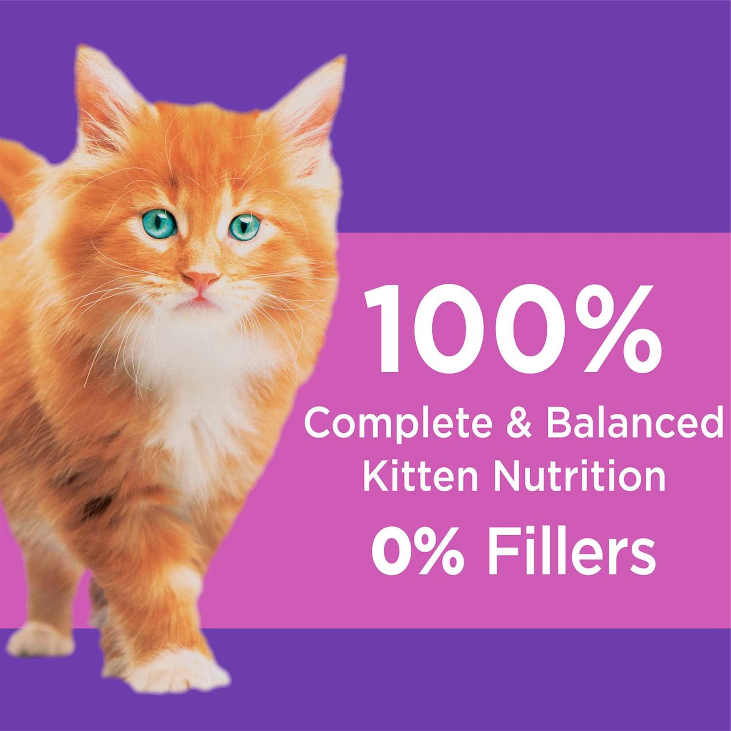 Iams ProActive Health Dry Kitten Food