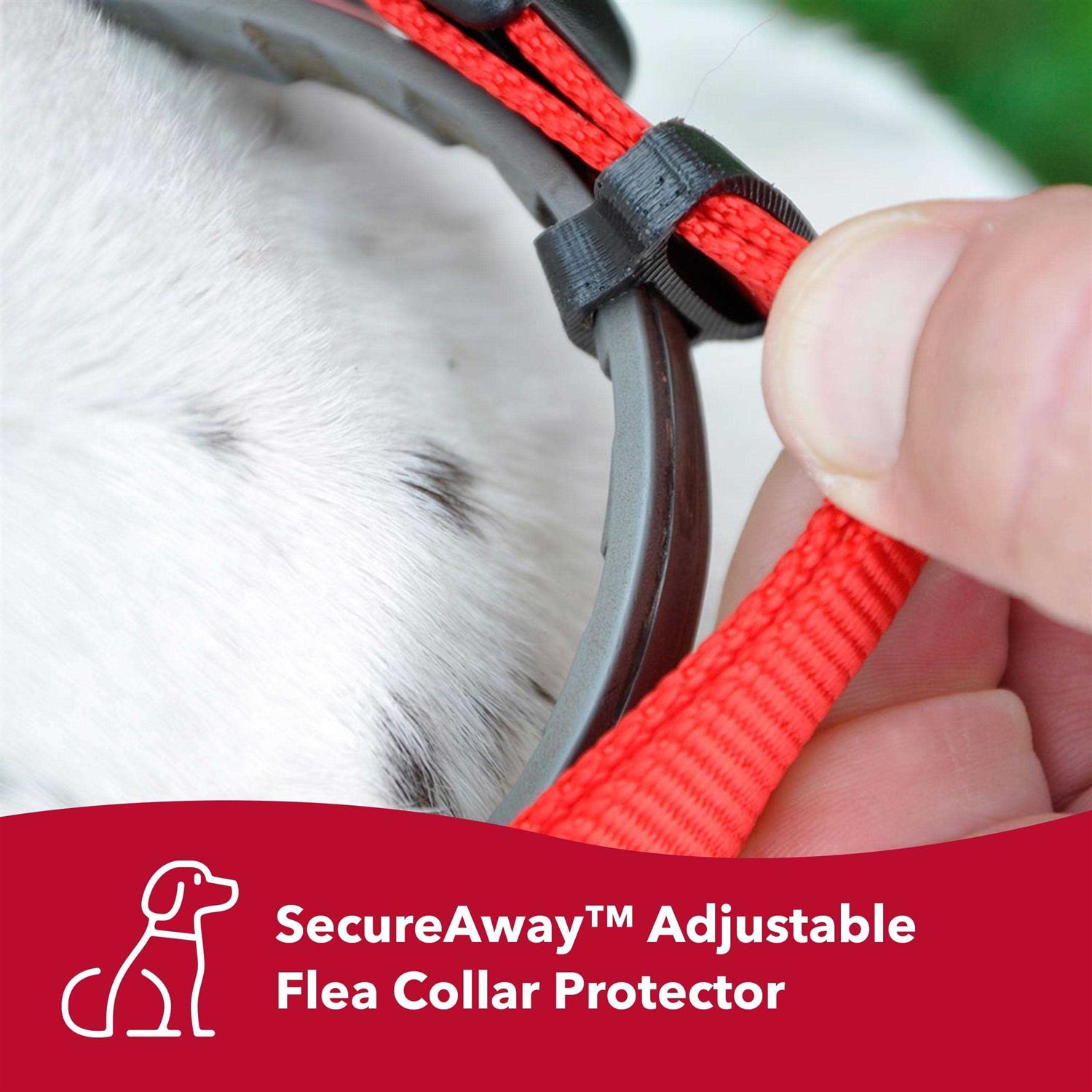 Coastal Hideaway Flea Collar Protector