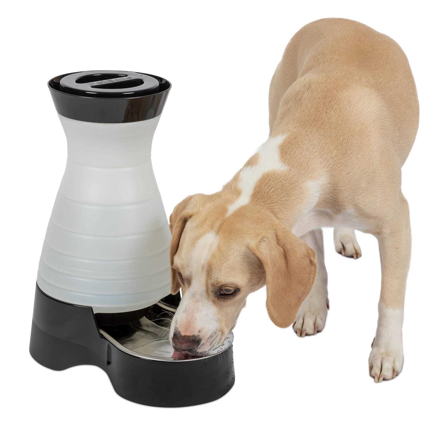 PetSafe Healthy Pet Water Station