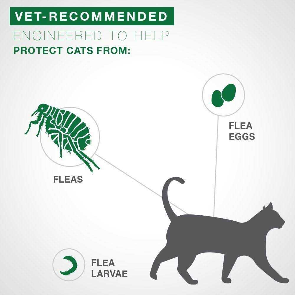 Advantage II Flea Treatment Cats