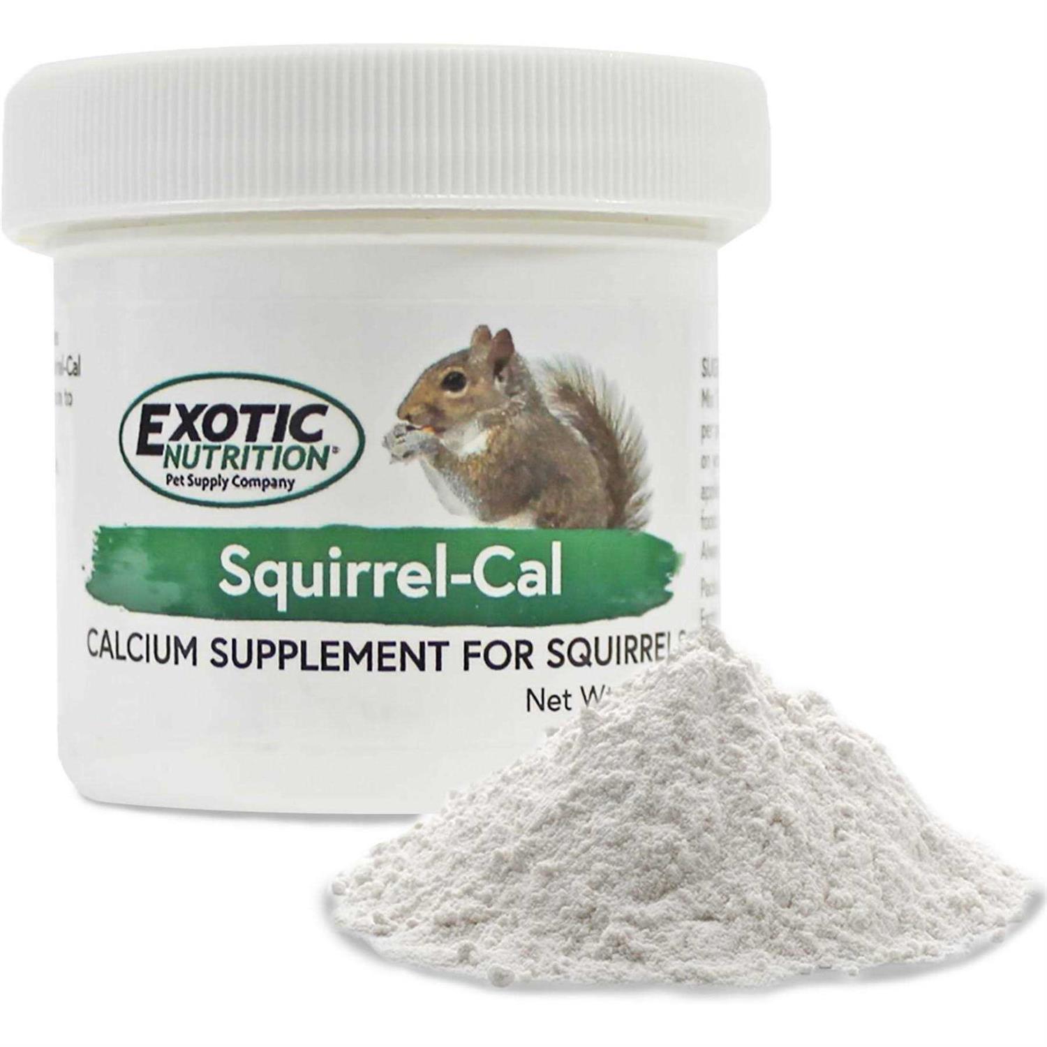 Exotic Nutrition Squirrel-Cal Calcium Supplement