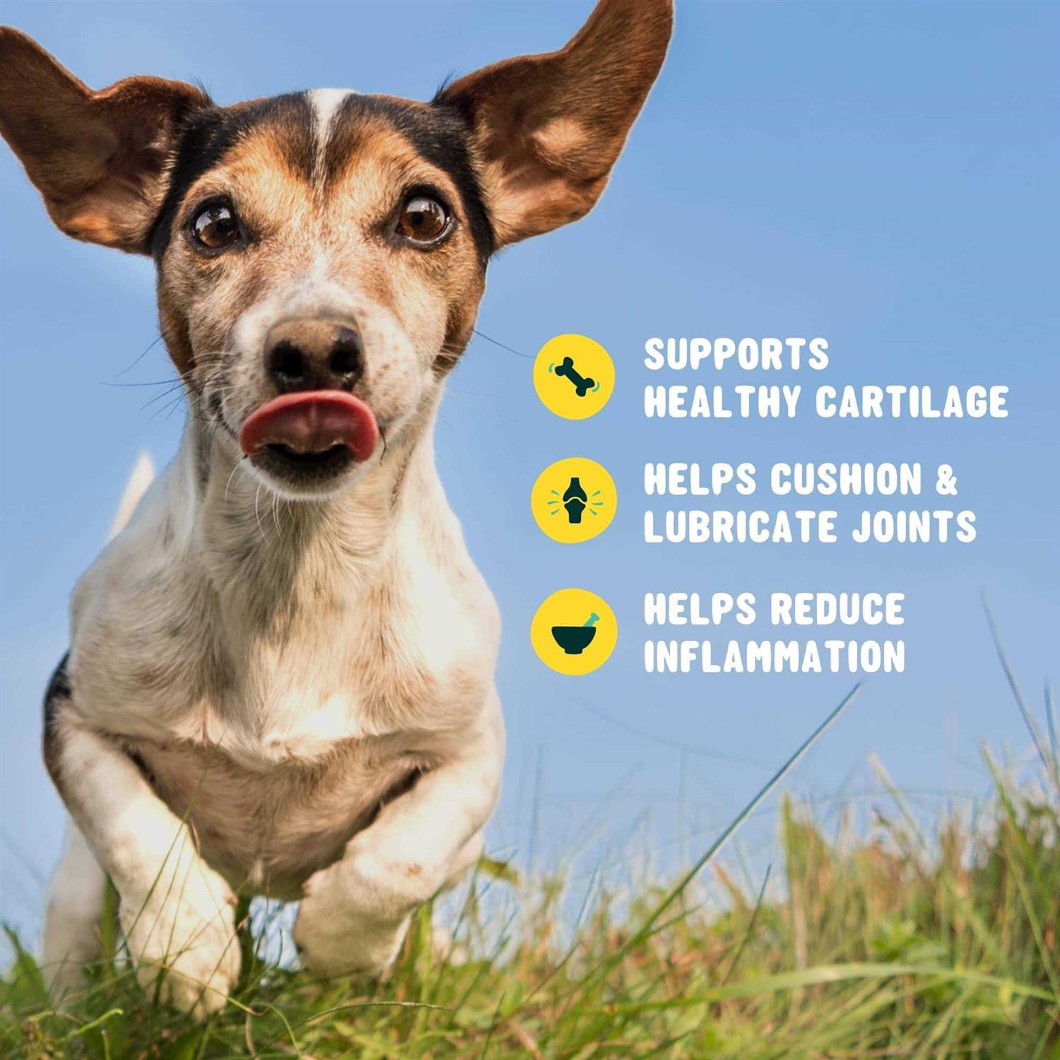 Active Chews Glucosamine for Dogs Hip and Joint Supplement with Chondroitin, Turmeric, and Msm