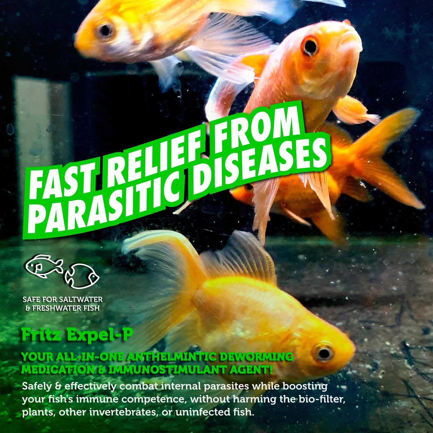 Fritz Aquatics Expel P Parasitic Disease Treatment