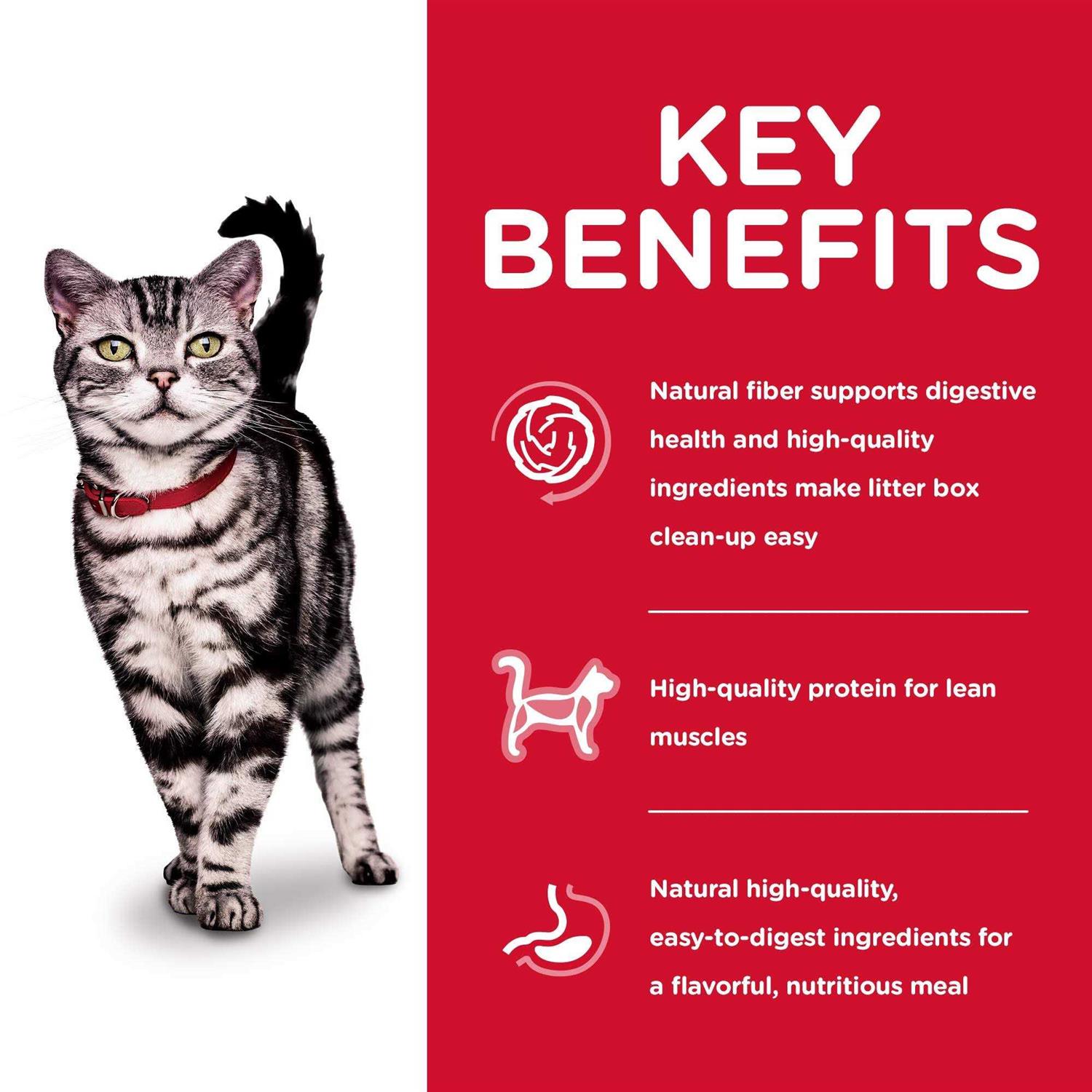 Science Diet Adult Indoor Cat Dry Food