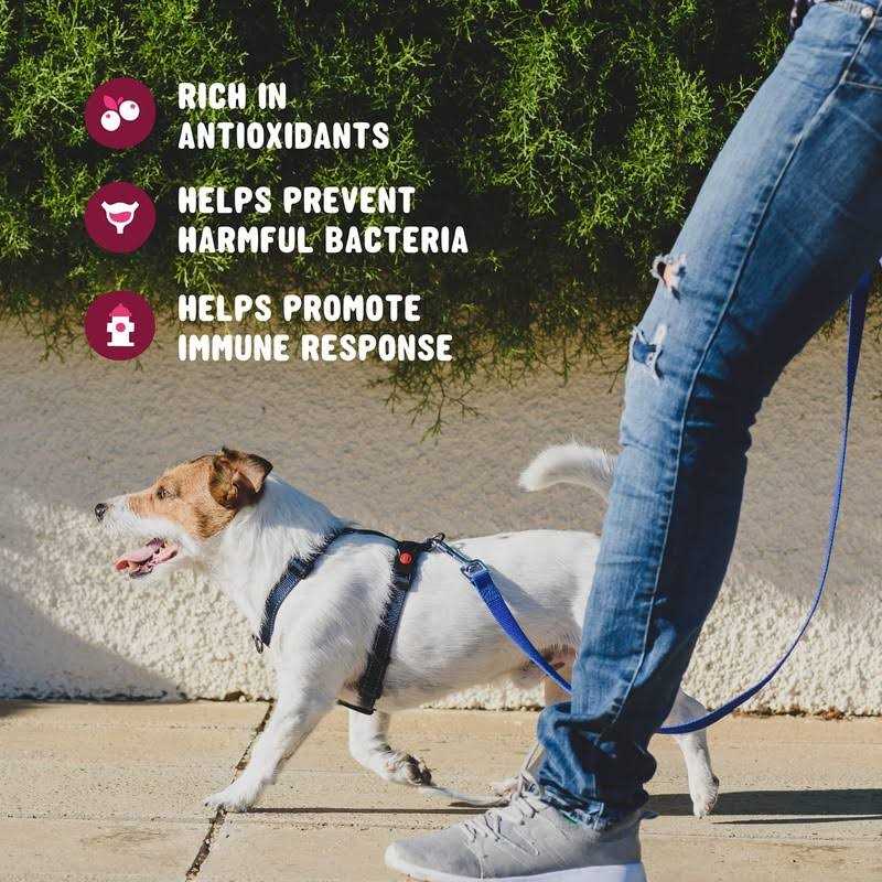 Active Chews Cranberry Supplement for Dogs Dog UTI Bladder Control for Dogs