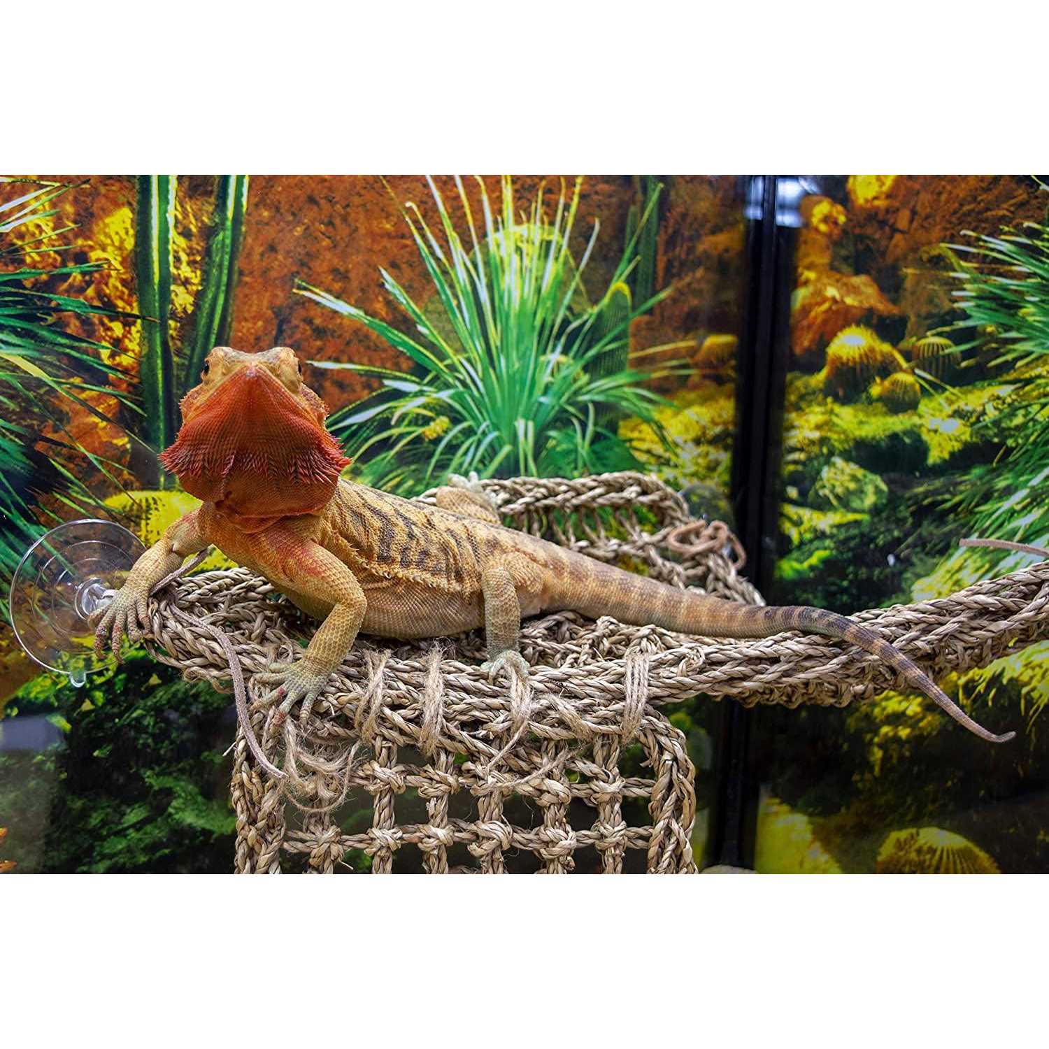 Penn-Plax Reptology Lizard Lounger