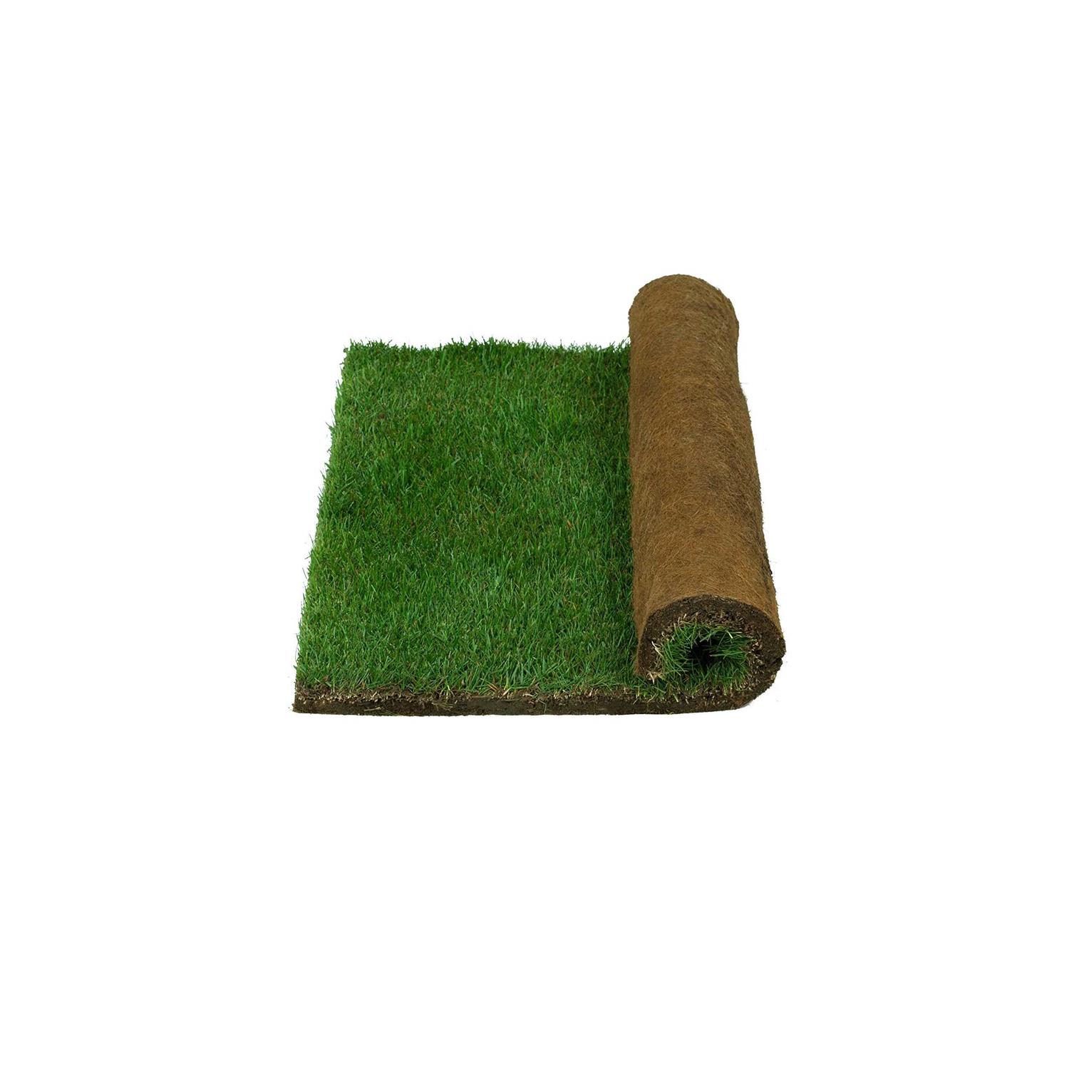 Patio Pet Life Real Grass Potty