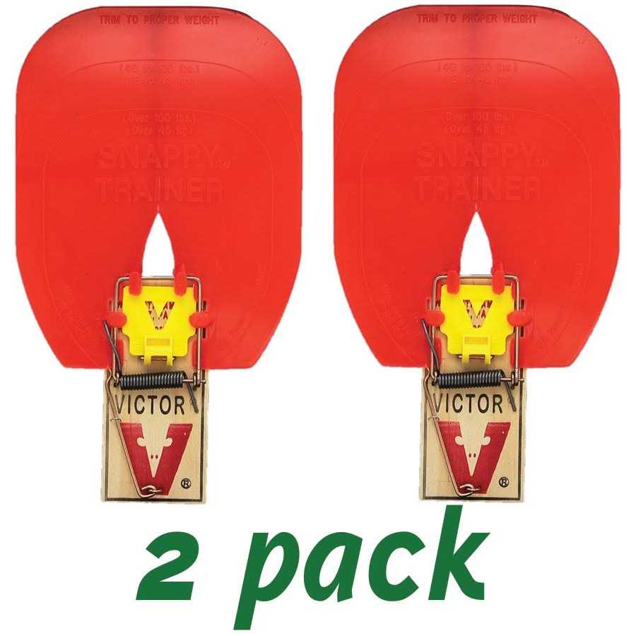 Hueter Toledo The Original Snappy Trainer