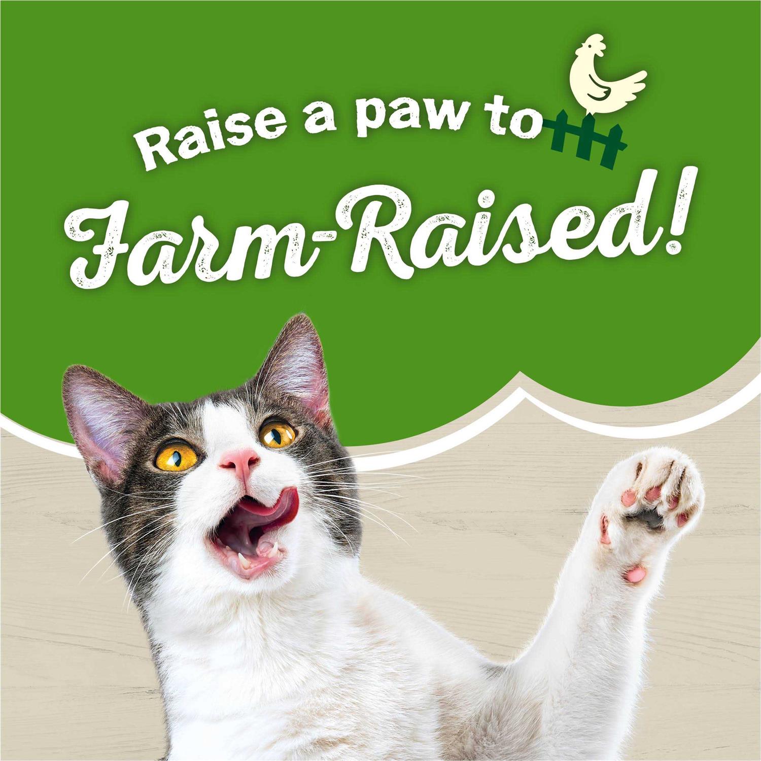 Purina Friskies Dry Cat Food Farm Favorites with Chicken