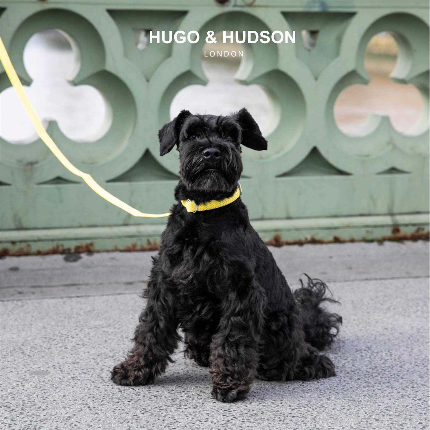 Hugo & Hudson Mesh Dog Collar