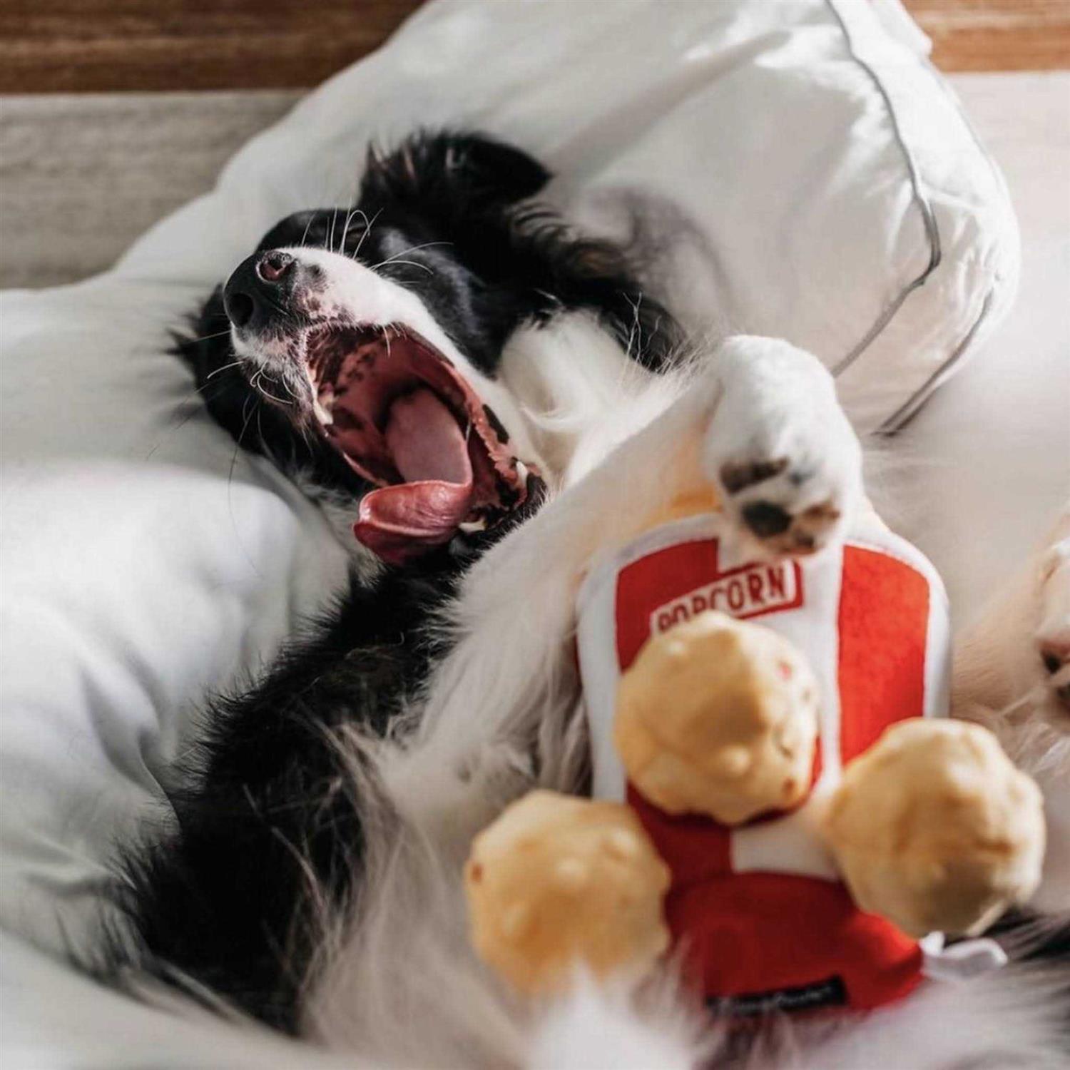 ZippyPaws Zippy Burrow Popcorn Bucket Dog Toy