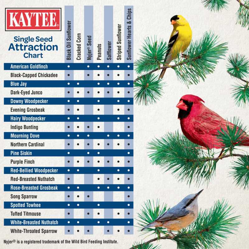 Kaytee Black Oil Sunflower Wild Bird Food