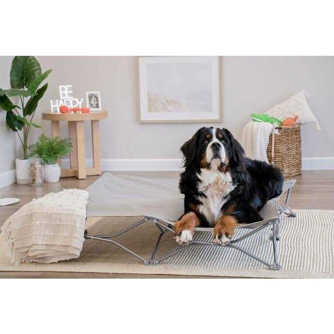Carlson Pet Products Portable Pup Pet Bed