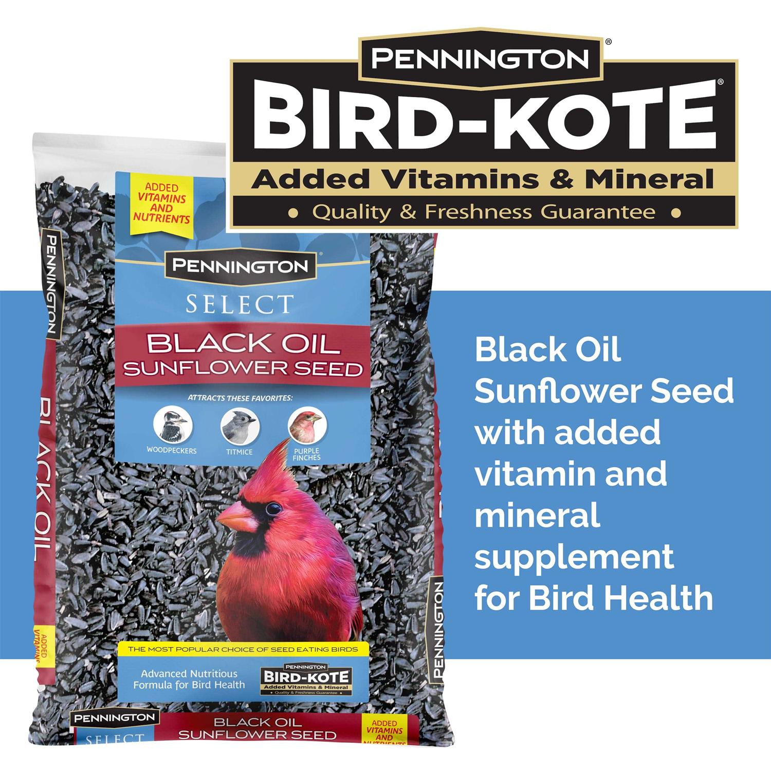 Pennington Select Black Oil Sunflower Seed Wild Bird Feed