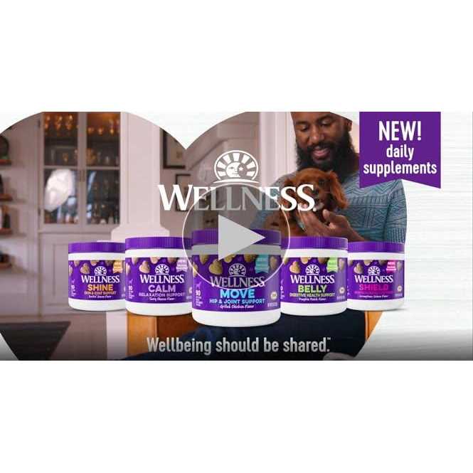 Wellness Tasty Cheese Flavored Soft Chews Calming Supplements for Dogs