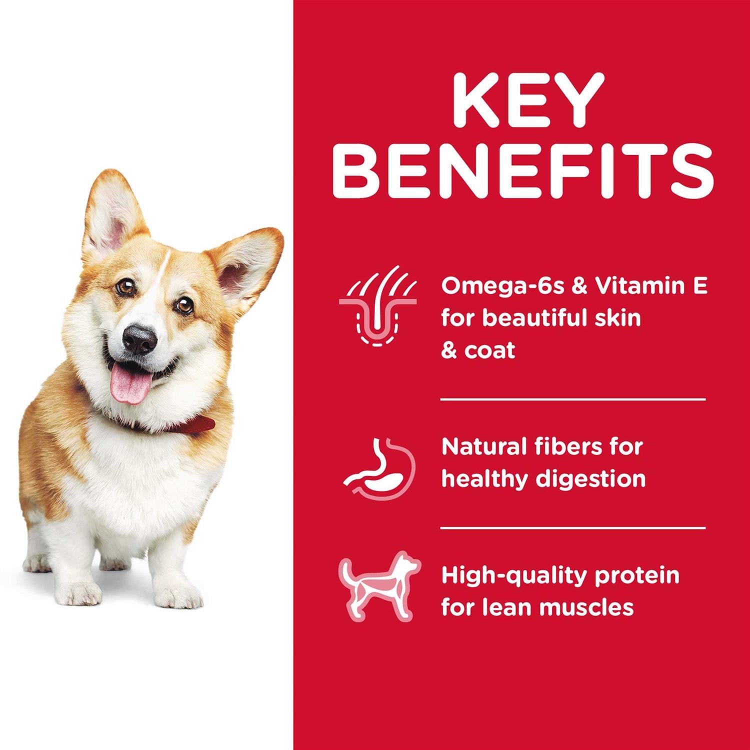 Science Diet Dog Food Recipe