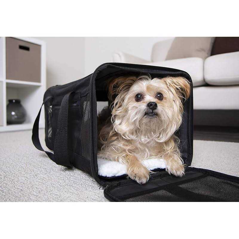 Trustypup Easy Explorer Travel Pet Carrier