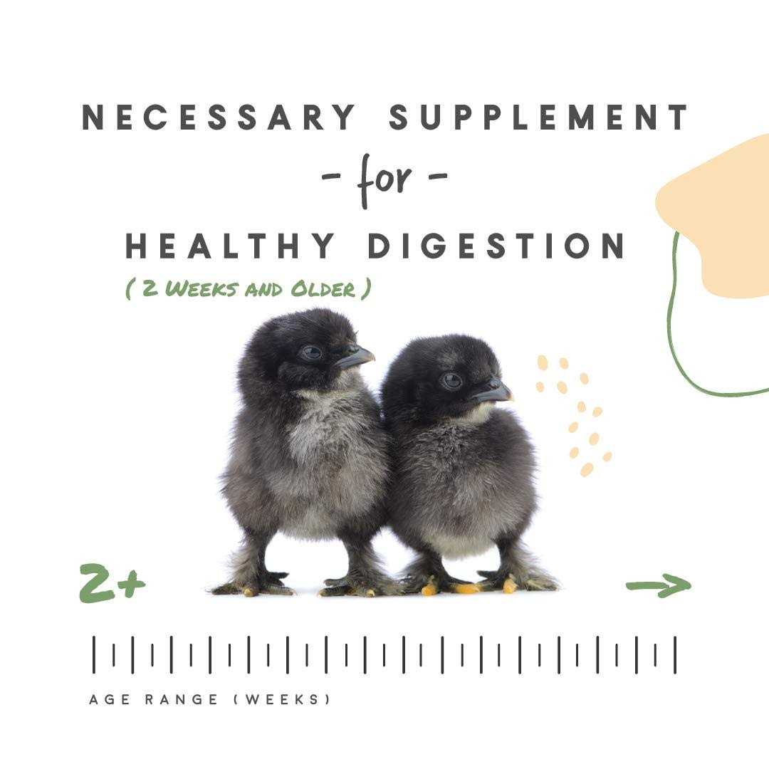 Manna Pro Chick Grit with Probiotics