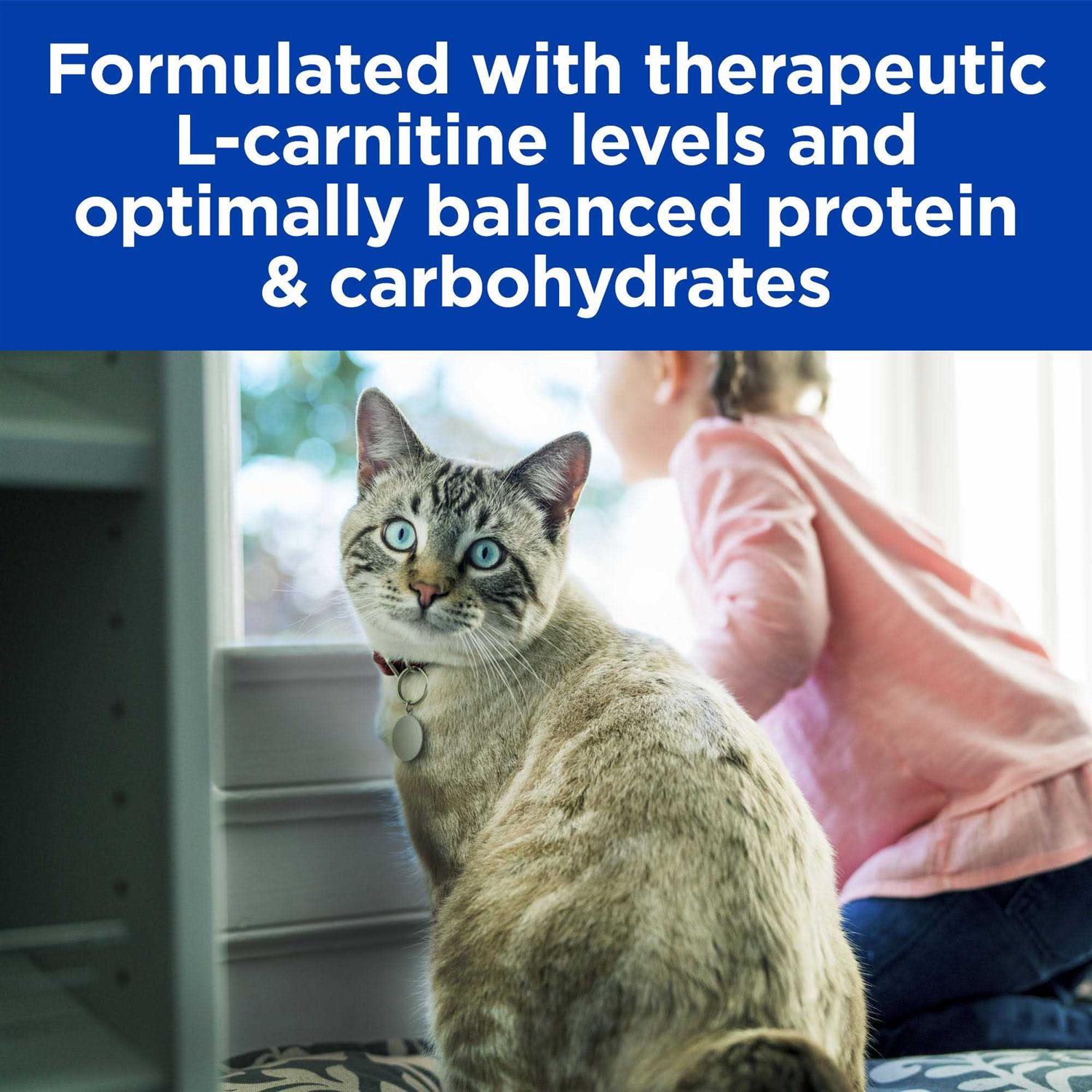 Prescription Diet m/d Glucose/Weight Management Cat Dry Food