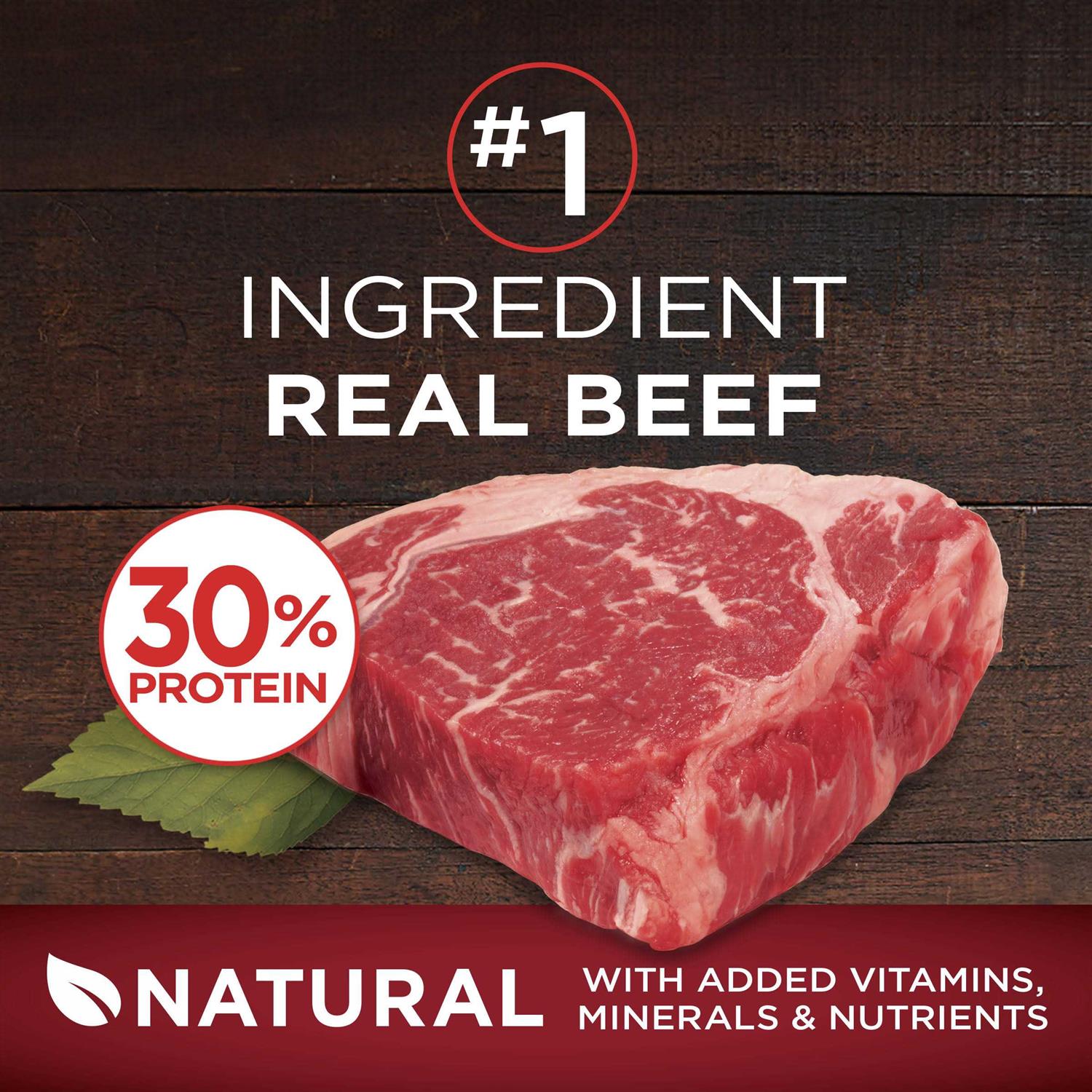 Purina ONE Grain Free Natural Dry Dog Food