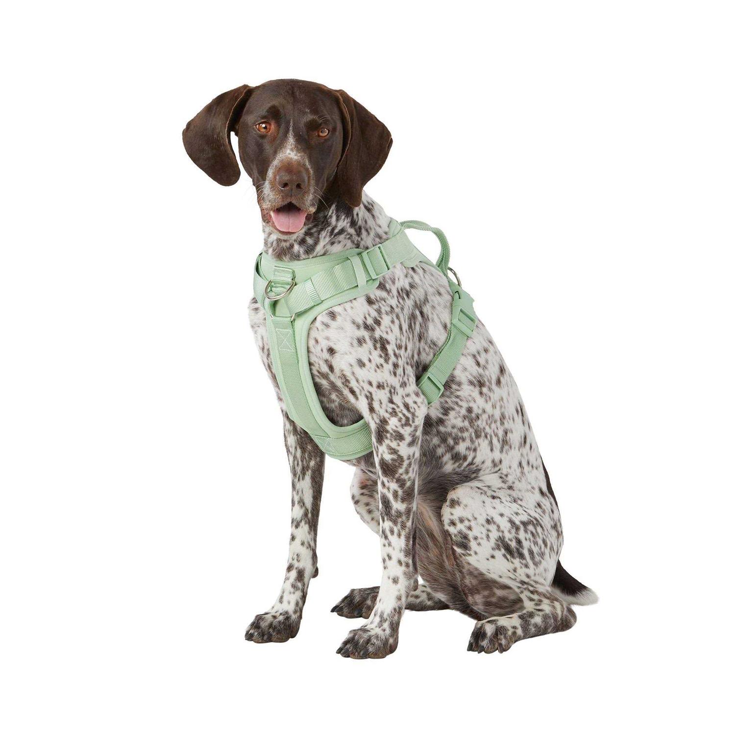 Top Paw Core Fashion Adjustable Comfort Dog Harness
